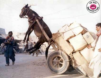 Oups!!